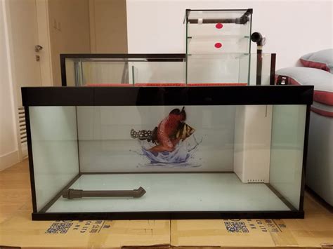 6尺魚缸|6尺魚缸